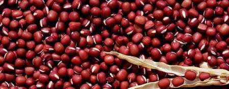 Đậu đỏ nhỏ hạt tác dụng lợi thủ, tiêu thũng, giải độc bài mủ
